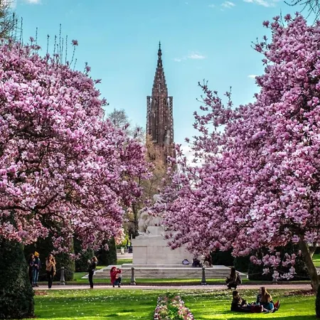 Hyper Centre Place Kléber Strasburgo