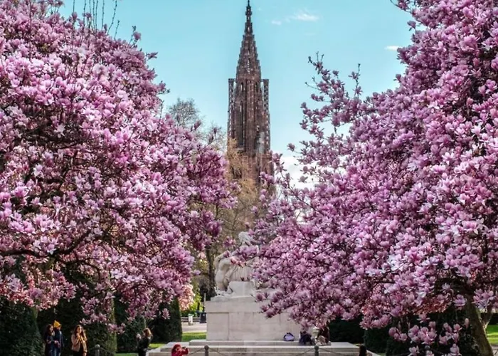 Hyper Centre Place Kleber Strasbourg